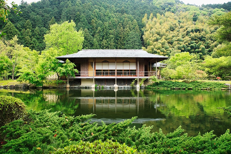 静岡県が誕生した8月21日に合わせ、朝比奈玉露を使用した「静岡明治9年 玉露味」を販売開始