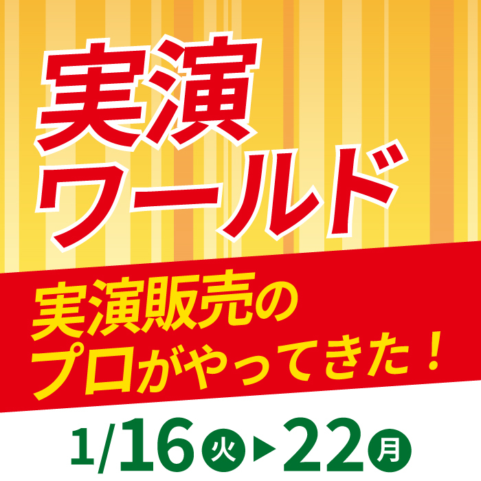 【1月16日】テレビ静岡「ただいま！テレビ」にて「実演ワールド」が放映されます【ハンズ静岡店】